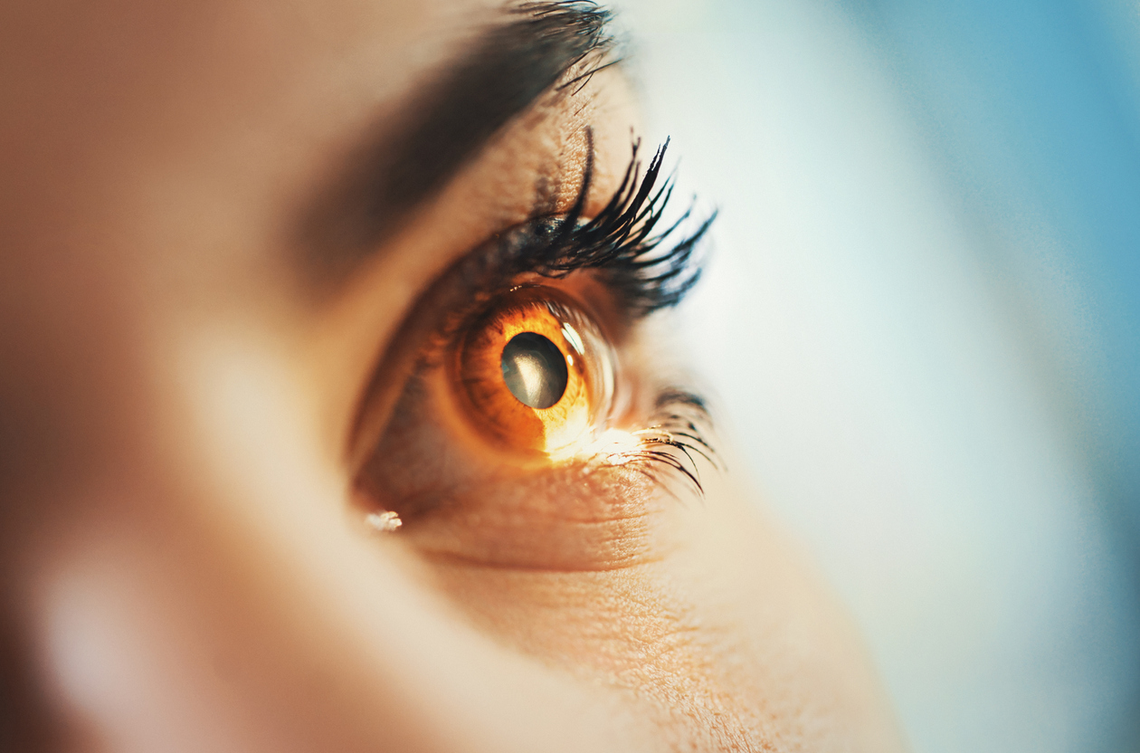 Close-up of a human eye near the iris